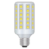 Ampoules LED